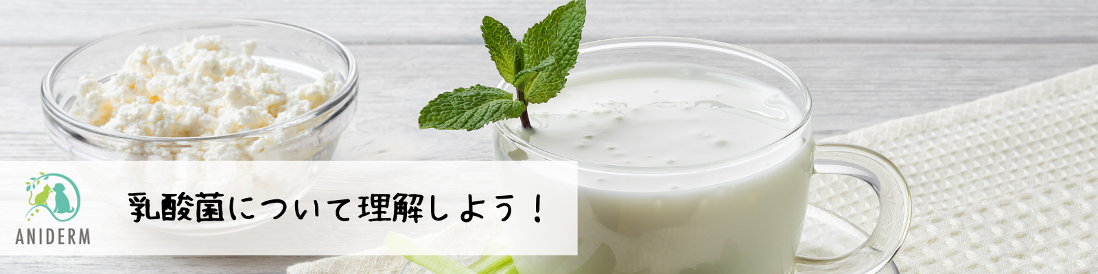 乳酸菌について理解しよう！