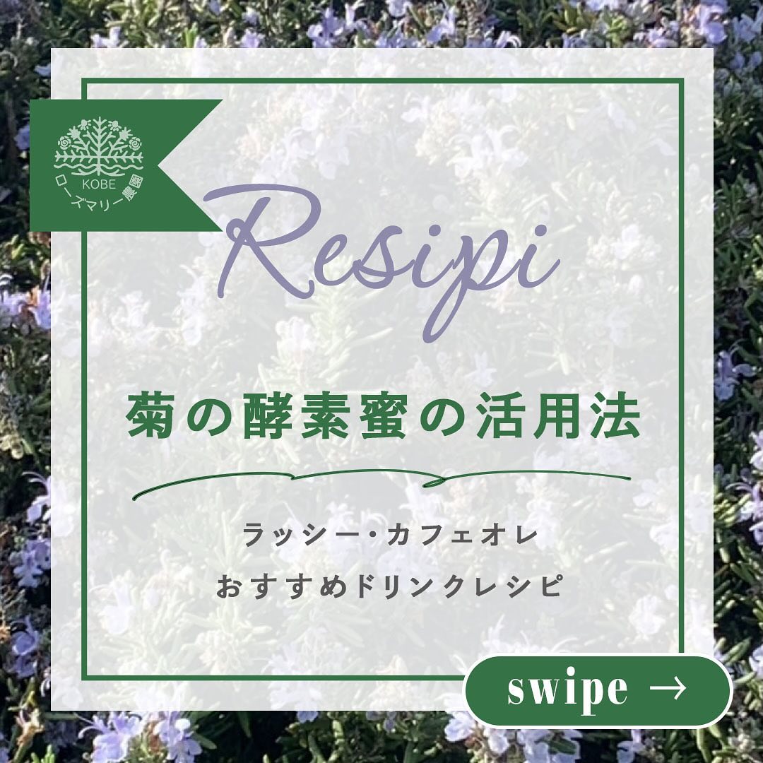 菊の酵素「蜜 舞」の活用法