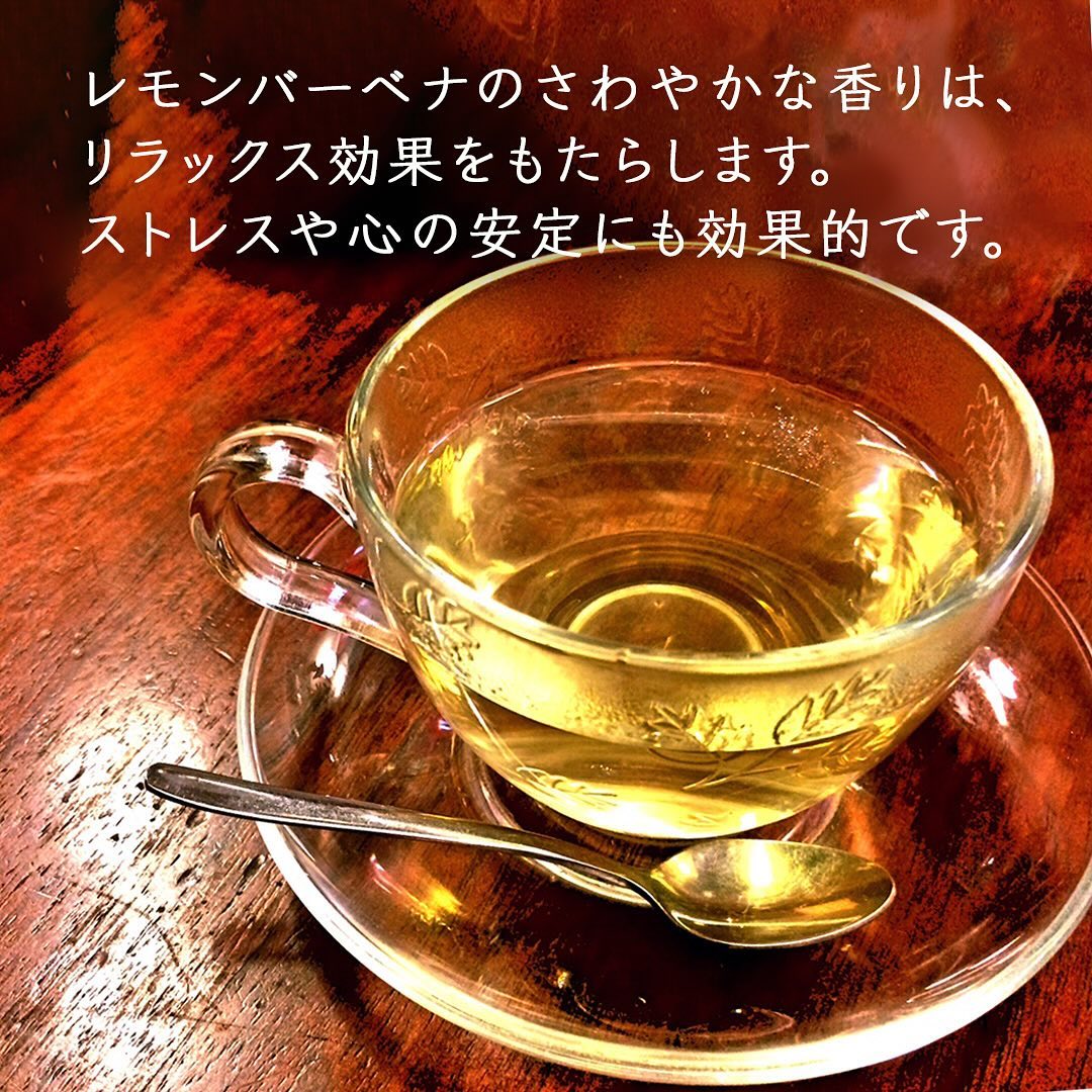 レモンバーベナについてご紹介します