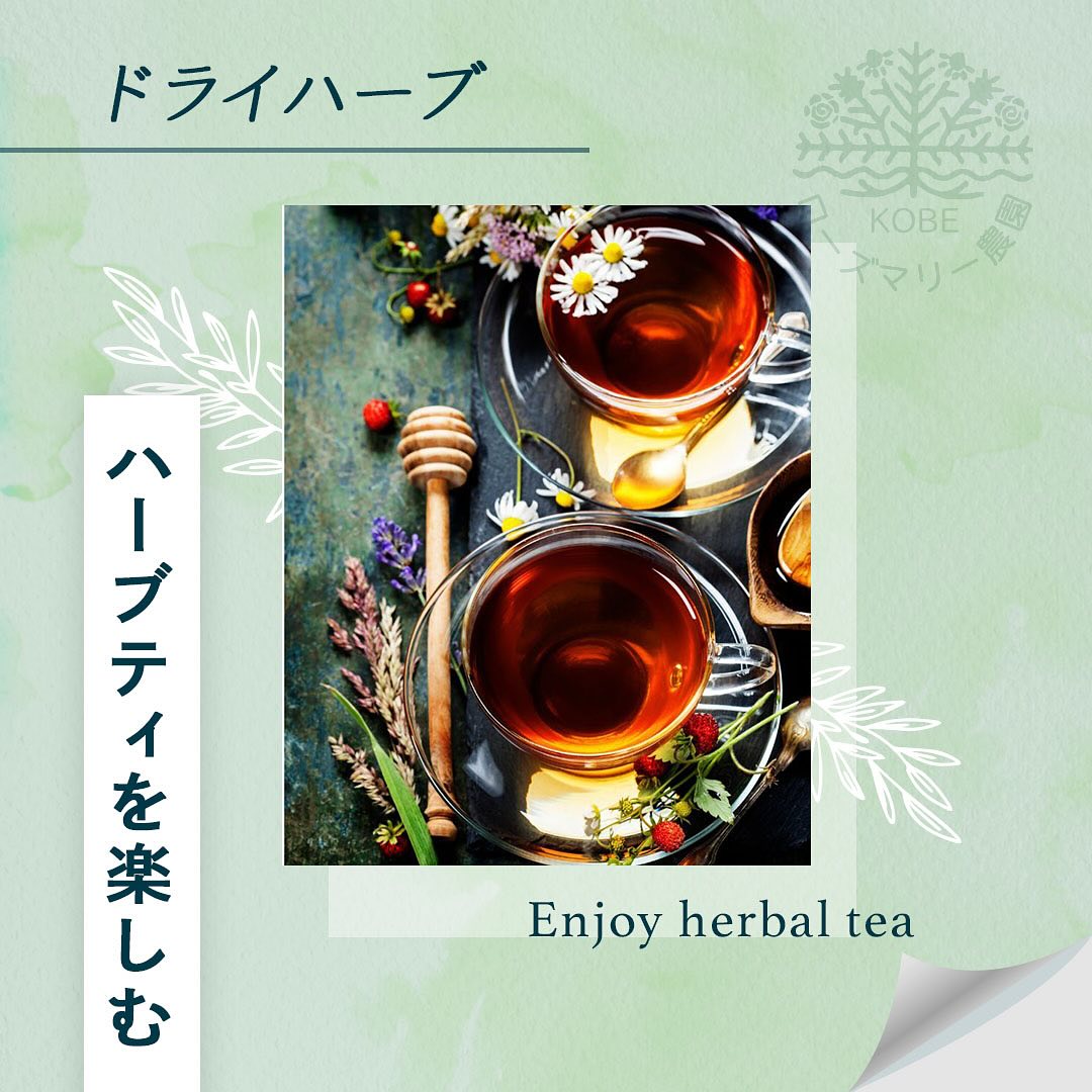 ハーブティーの楽しみ方についてご紹介します