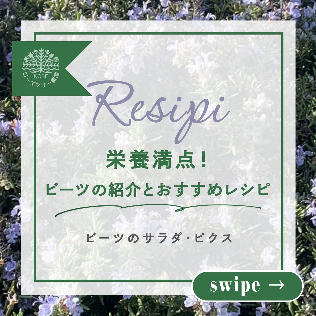ビーツの紹介とおすすめレシピ をご紹介します