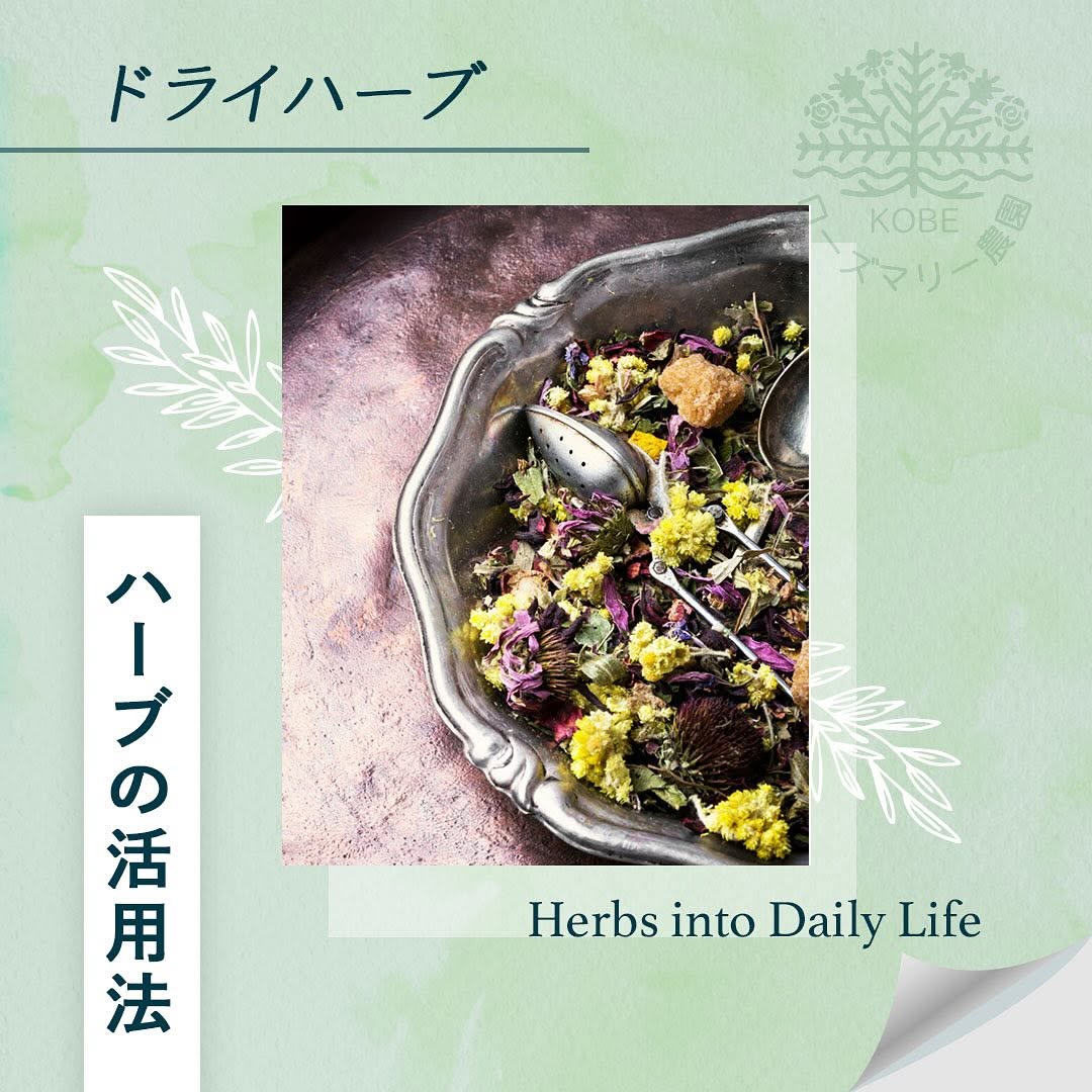 ハーブの活用法についてご紹介します