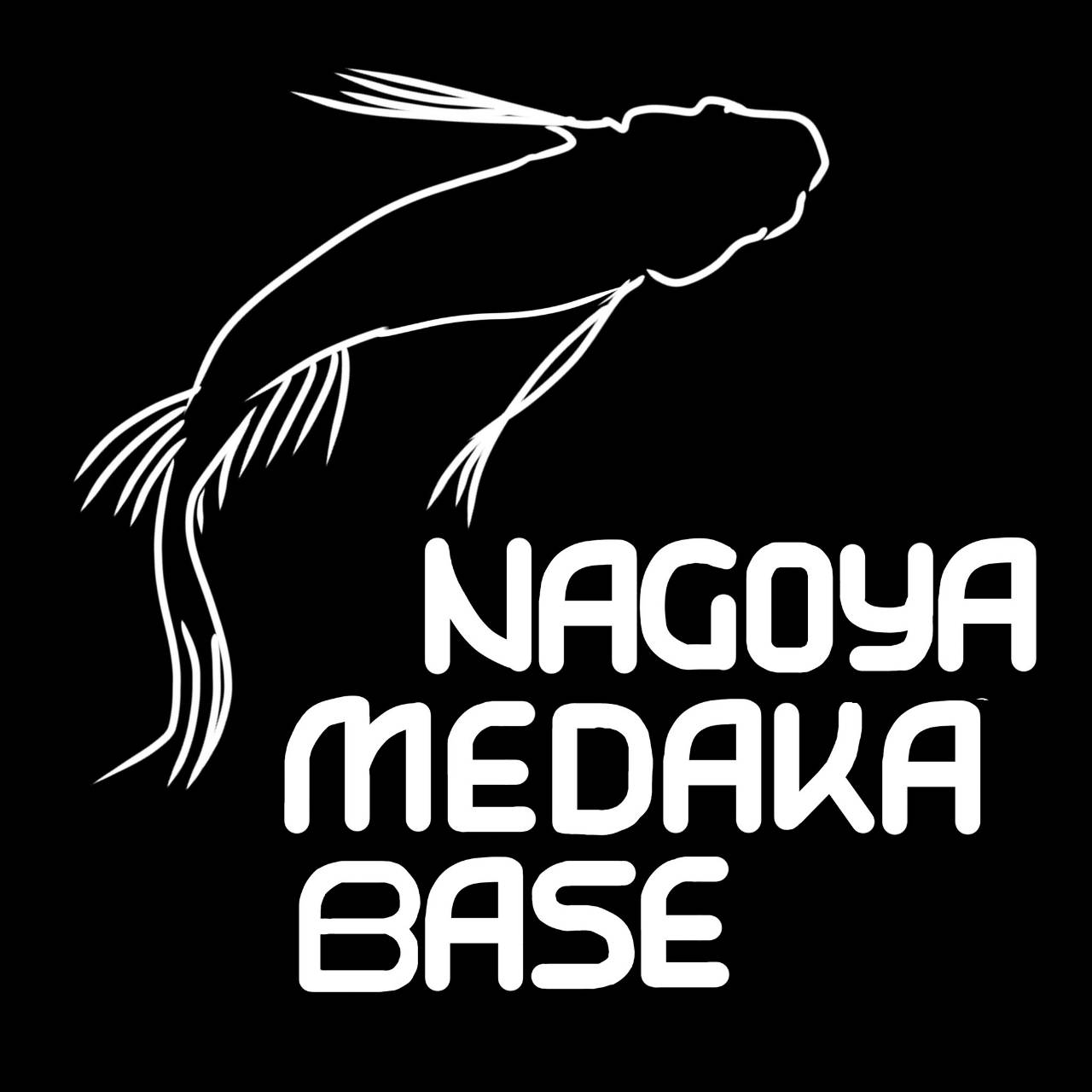 名古屋メダカベースのメダカがネットショップでも！