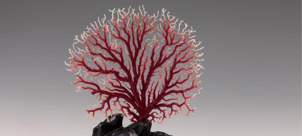 サンゴ宝石の魅力とは？選び方や価値を専門家が徹底解説