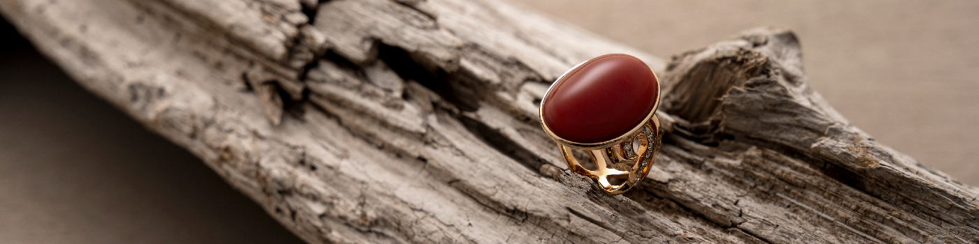 初心者向けの宝石珊瑚の選び方