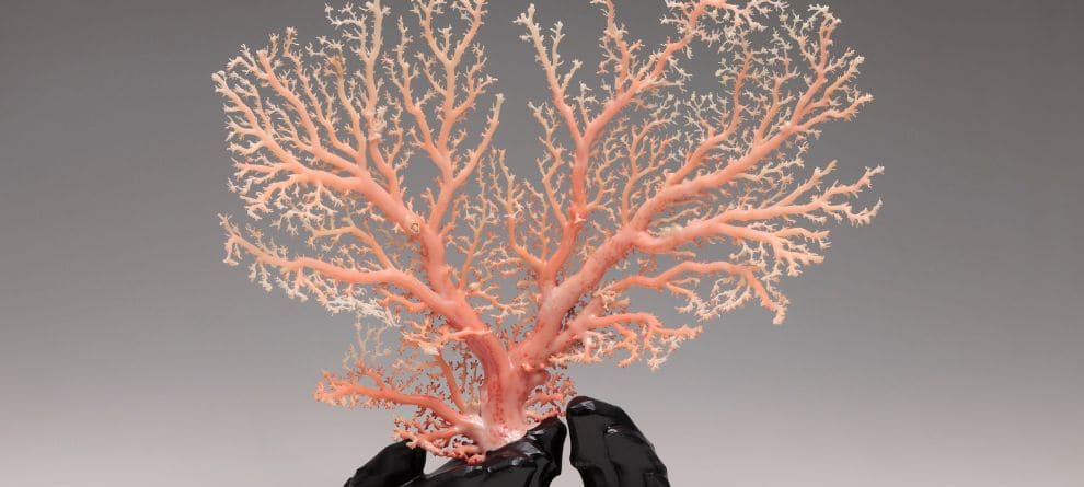 【3月の誕生石】珊瑚が持つ意味と選び方