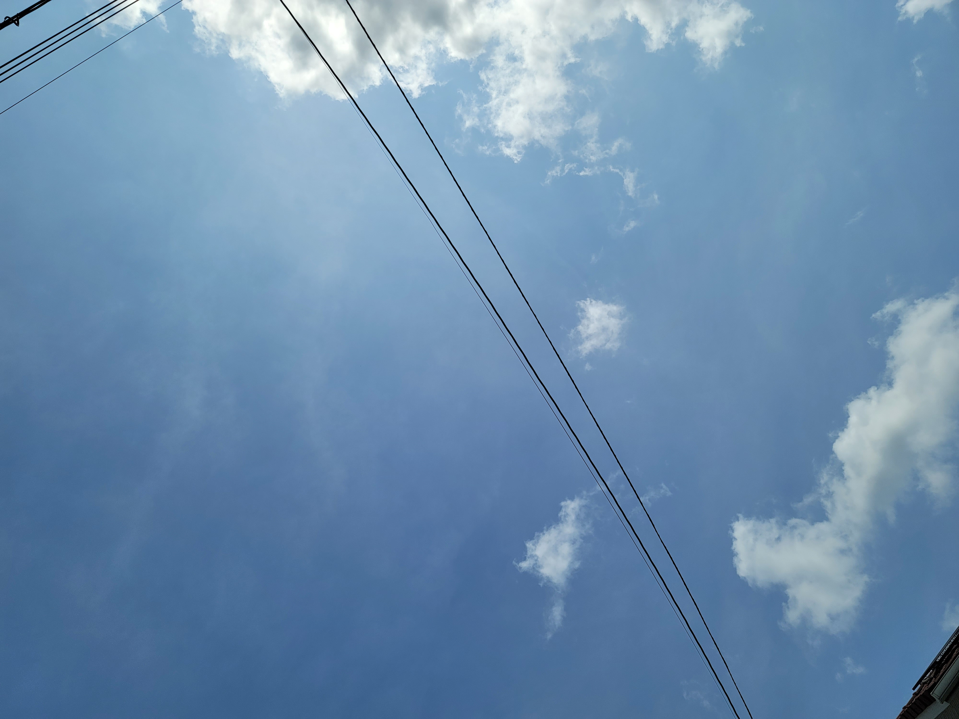 夏休みに入りました！