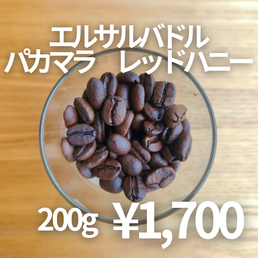 NEWコーヒー豆ご紹介!!