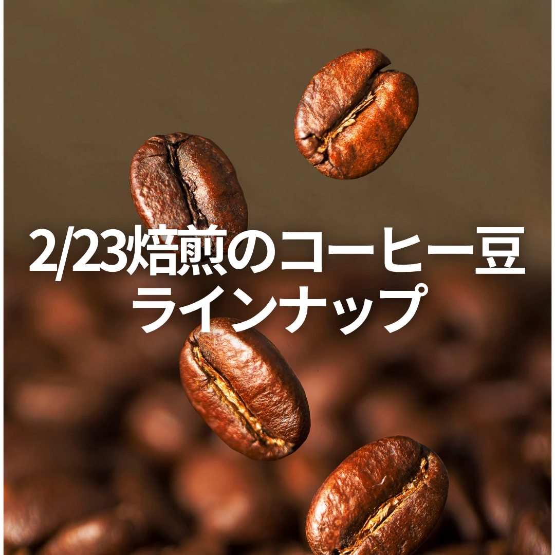 2/23焙煎のコーヒー豆ラインアップ🔥