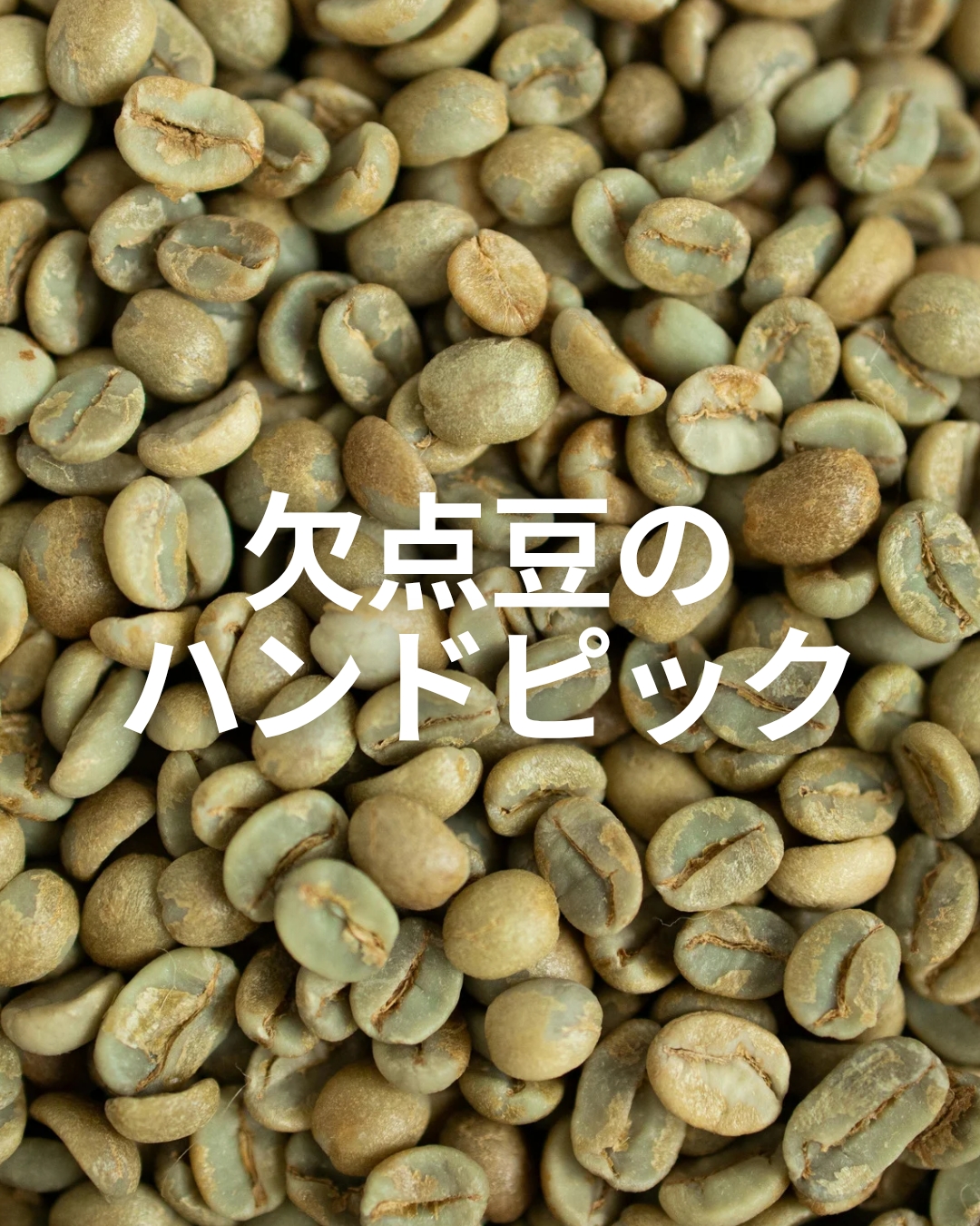 欠点豆のハンドピック