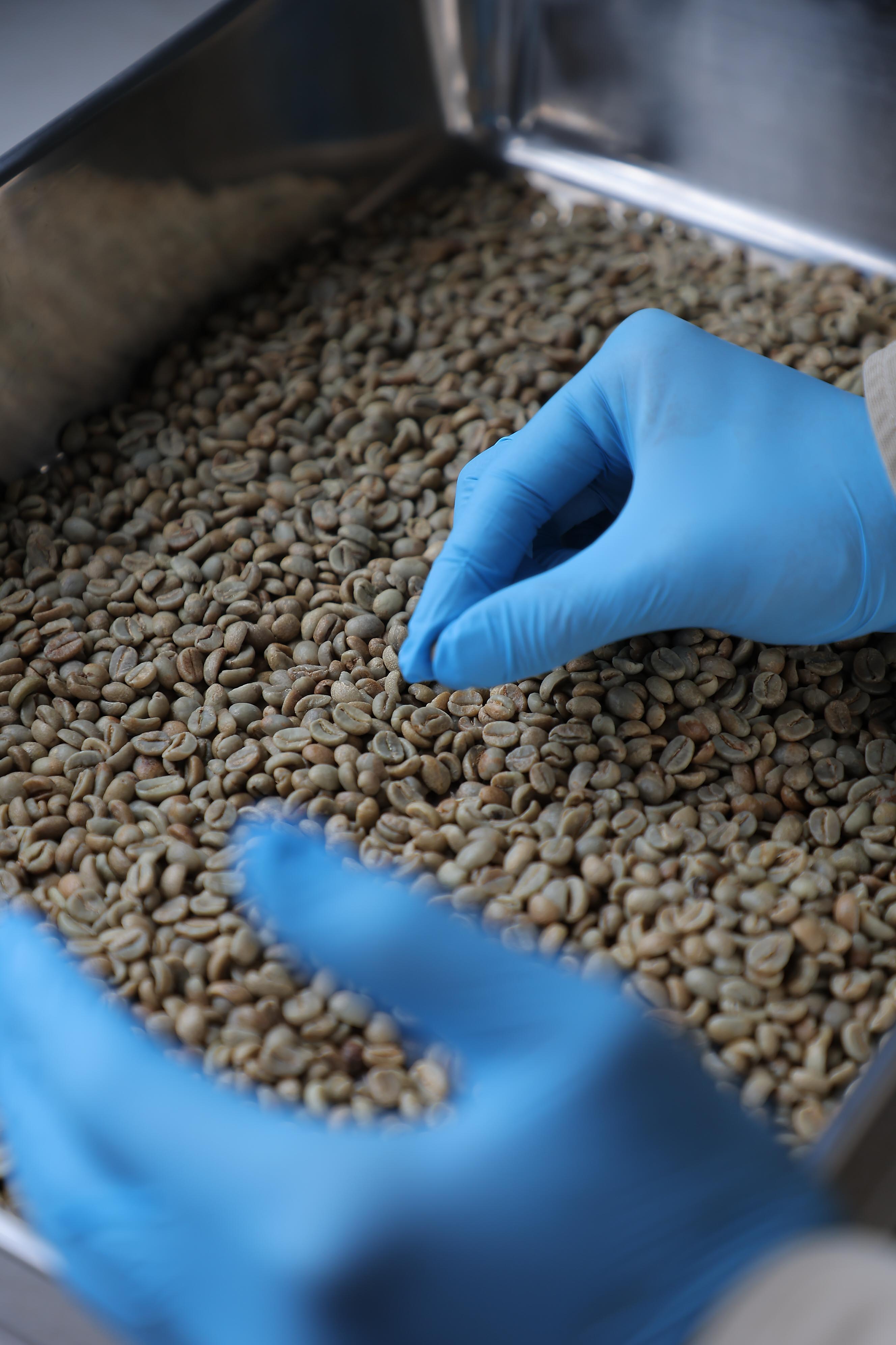 コーヒー生豆を扱っている業者様へ