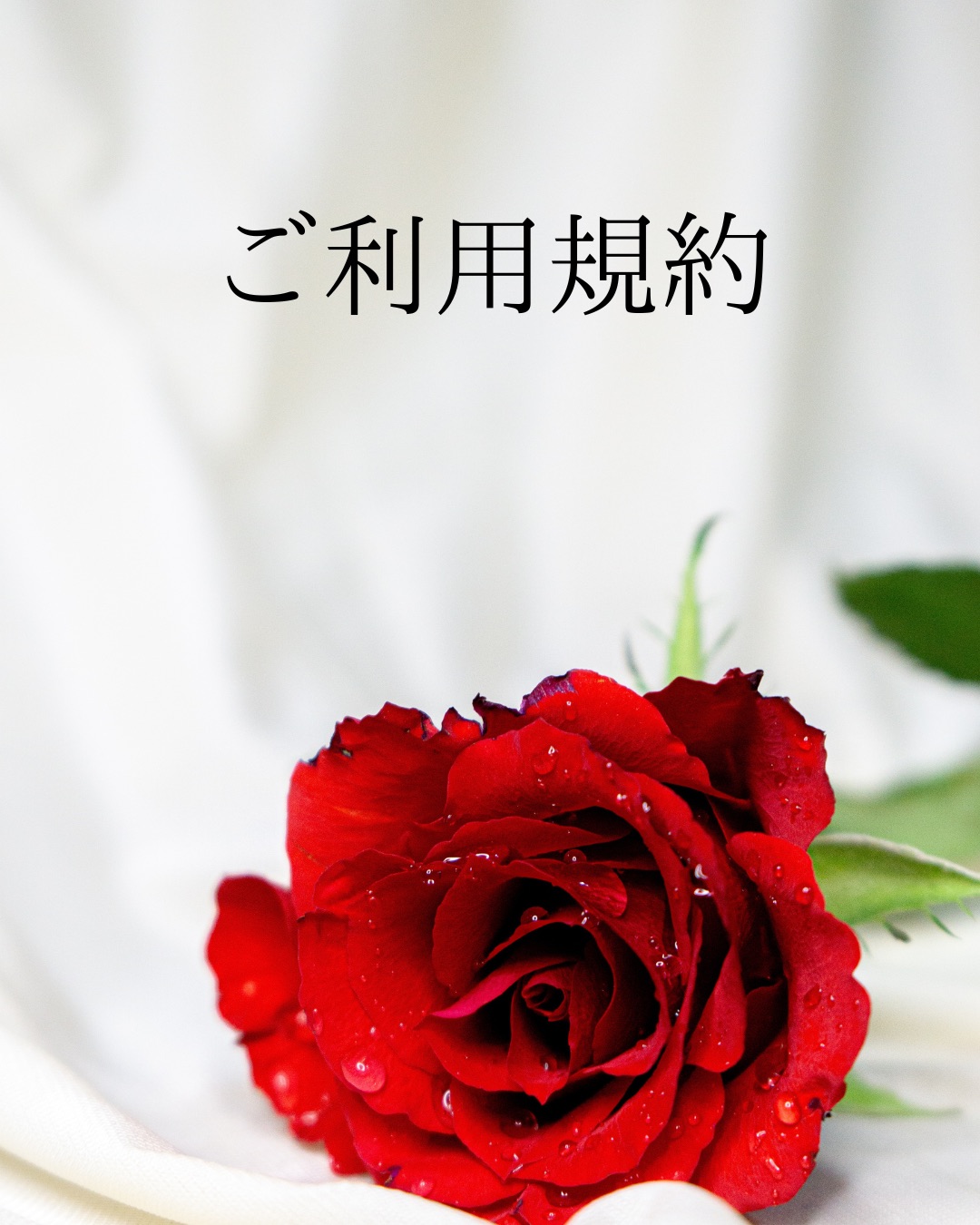 《ご利用規約》