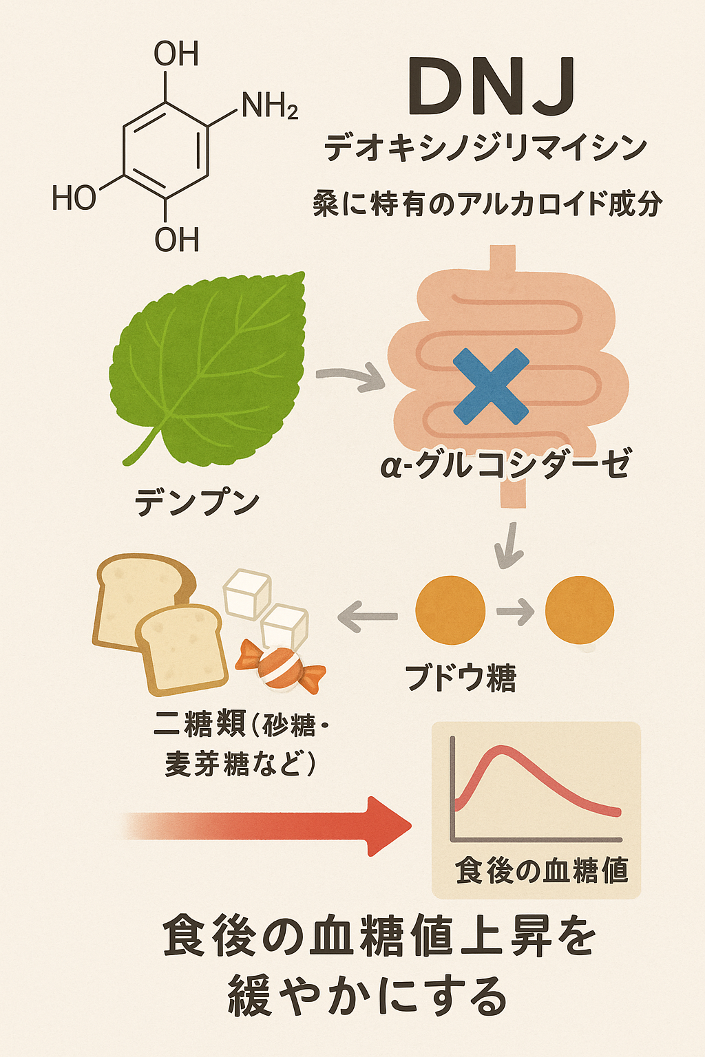 簡単ダイエットの定番　糖を抑えるグリーンティーとは？
