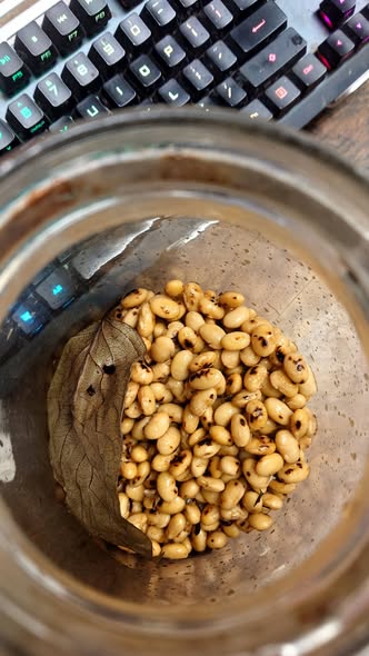自宅で仕込んだ柿酢　この無添加の調味料をつかって柿酢大豆しこんでみた。