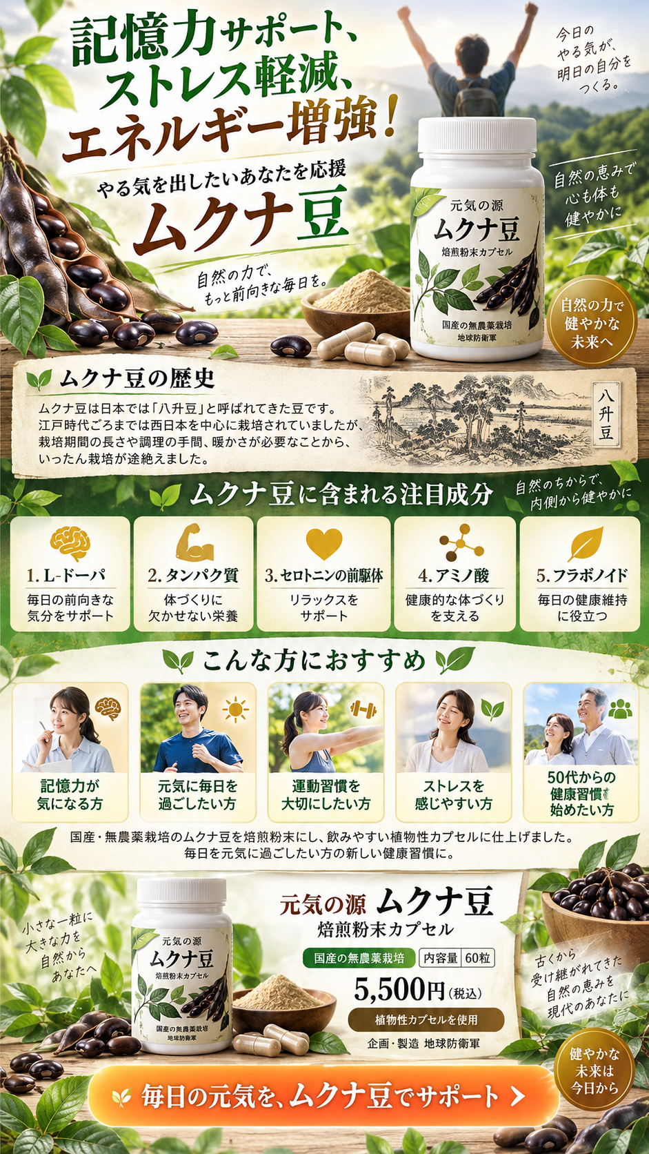 新しい製品　ムクナ豆