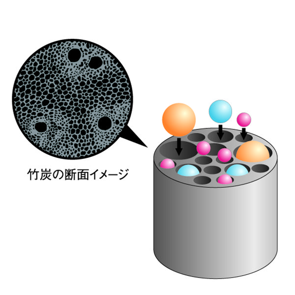 蜂に刺された時や食中毒の時　どうする？
