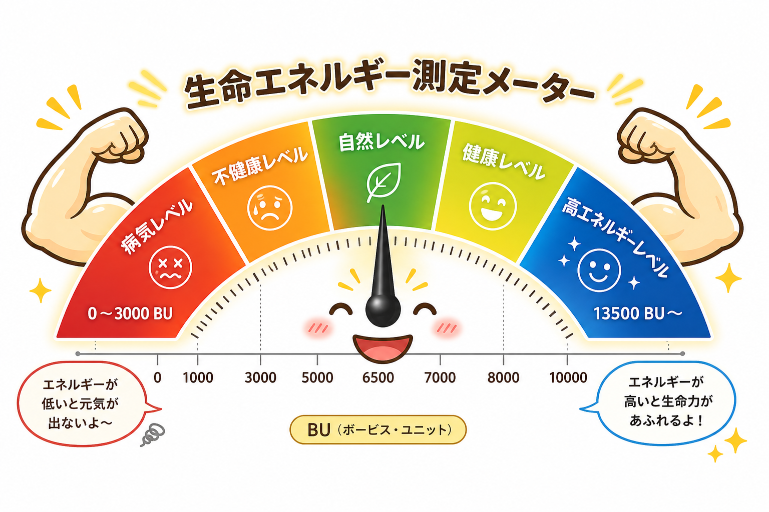 生命エネルギーを計測する単位　ヴォービスユニットBU