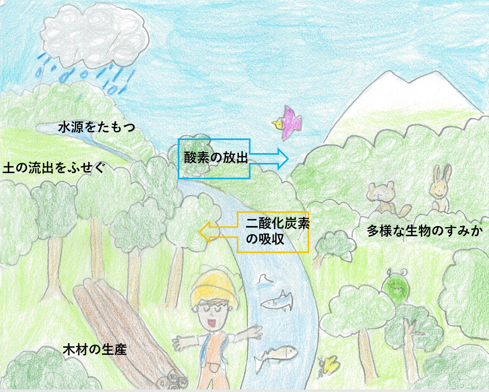 薄めたフルボ酸水を　頭皮や肌にスプレー 　→ かゆみや炎症の軽減、頭皮環境のサポートに