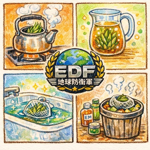 マコモの四段活用法 お茶だけでない裏技 大公開