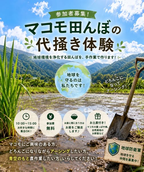 マコモ田んぼの代掻き体験　募集