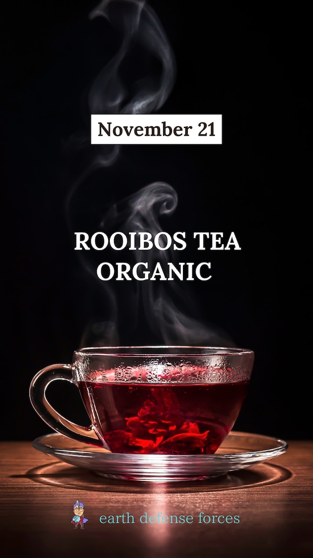 まもなく入荷予定　オーガニック・ルイボスティ　茶葉　120g　お茶パック60枚付き　