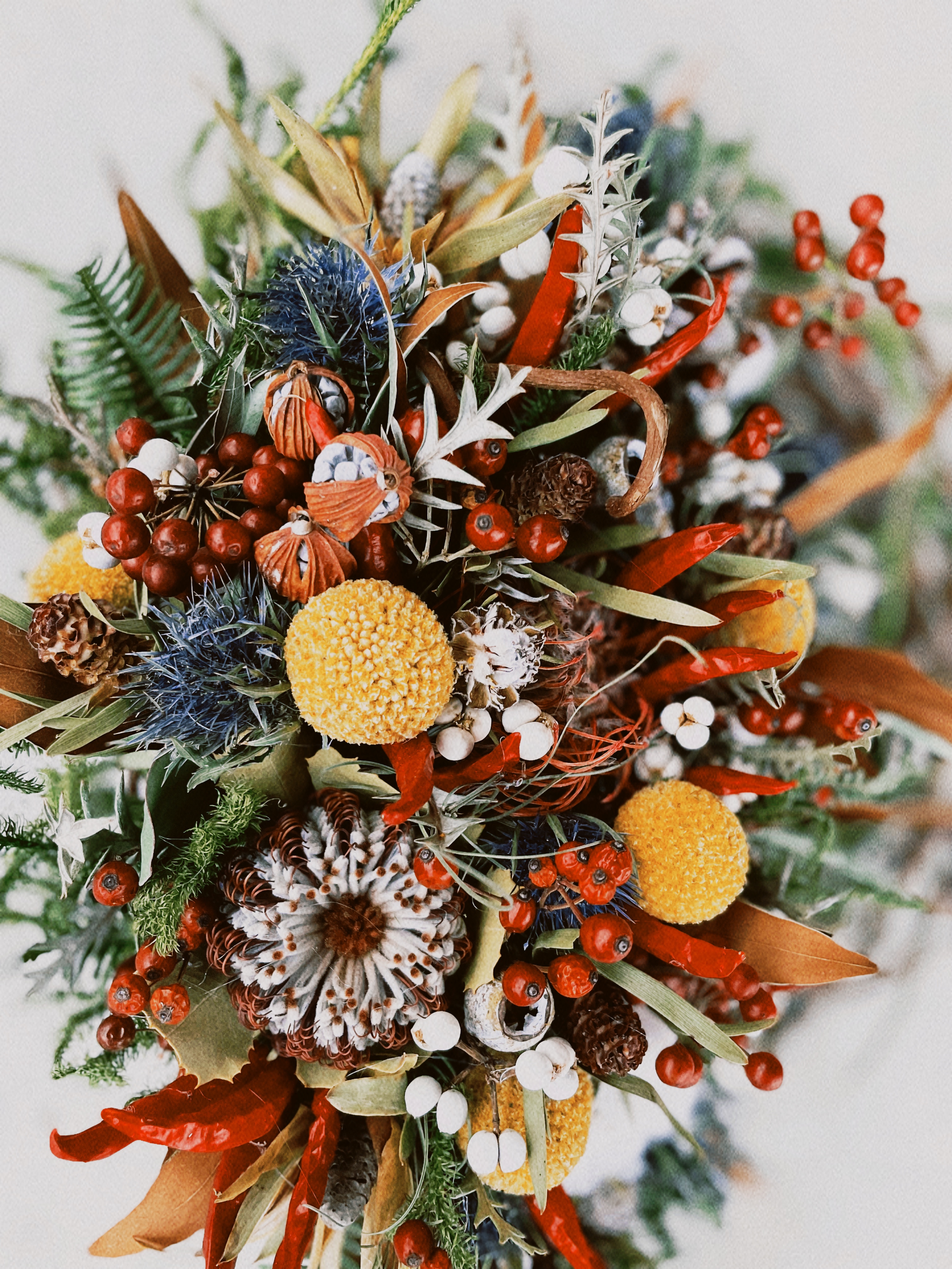 本年もどうぞよろしくお願いいたします。