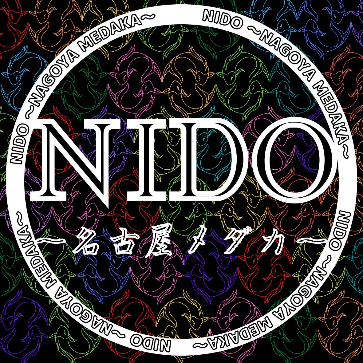 NIDO名古屋メダカとは