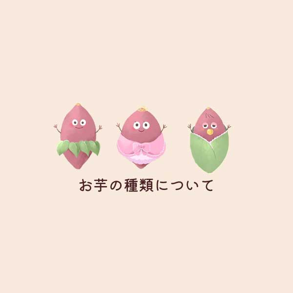 お芋の種類について