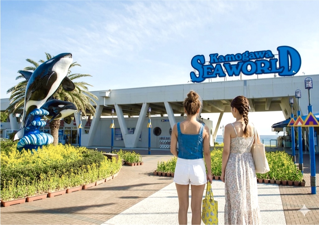 【周辺観光】大人も子供も夢中!「鴨川シーワールド」へ、海岸沿いを走る絶景ドライブ旅