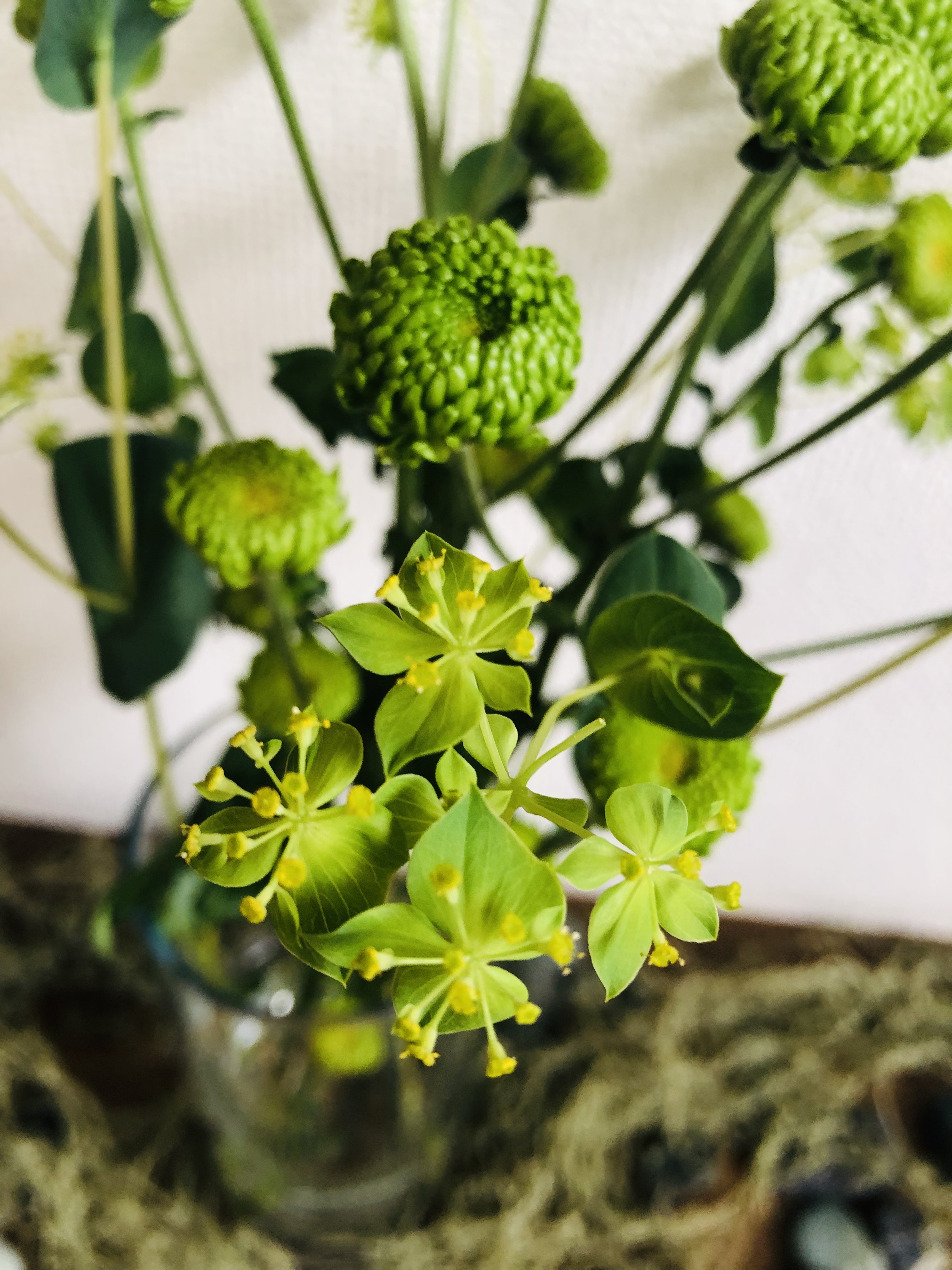 緑の花をおしゃれに飾るフラワーベース