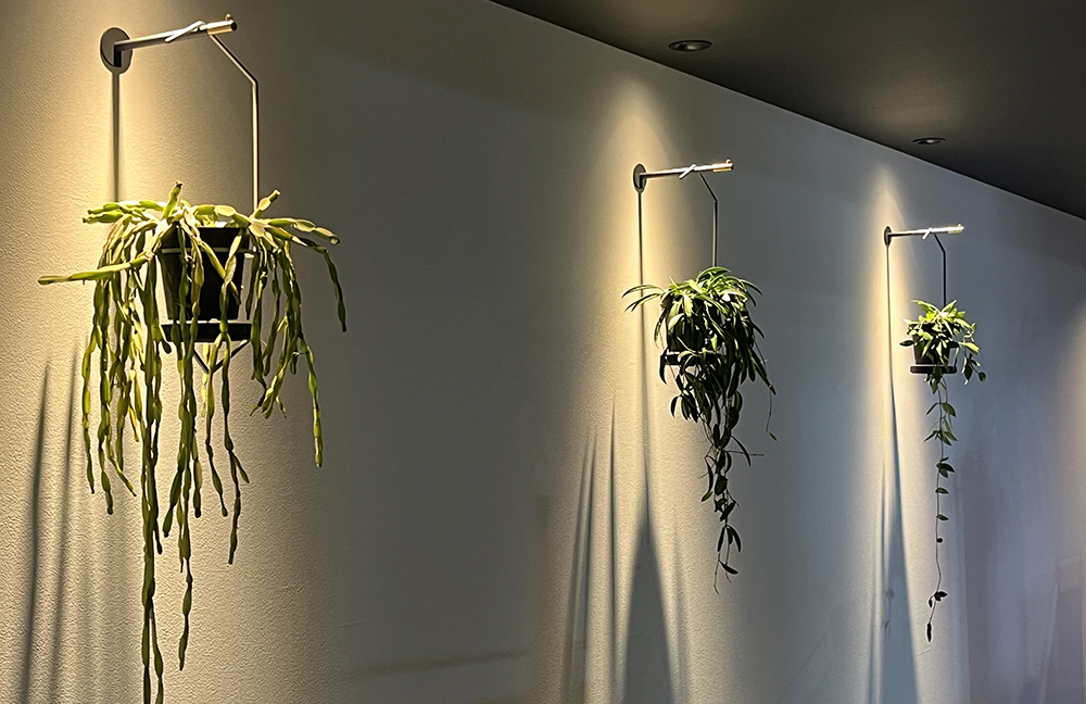 -Perfect Hanging-ブラック販売開始