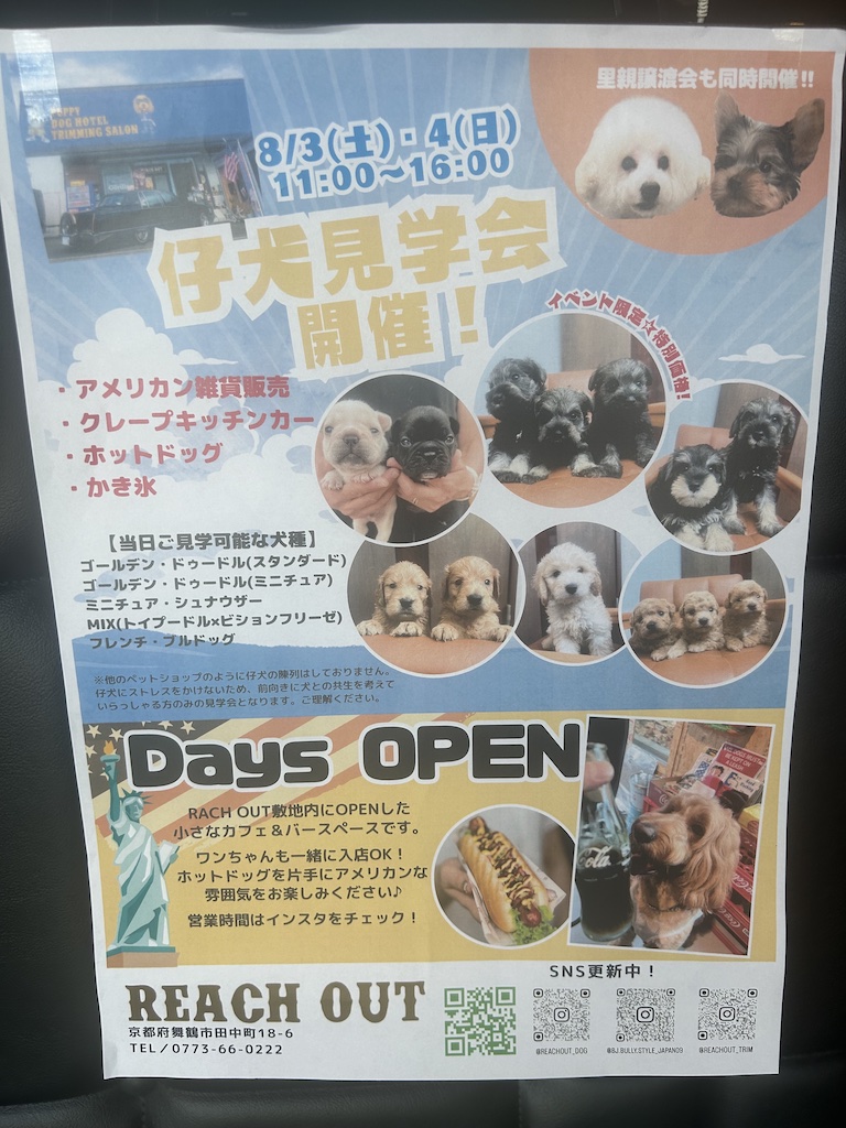 NIKU恋の夏ギフトまだまだ予約受付中！
