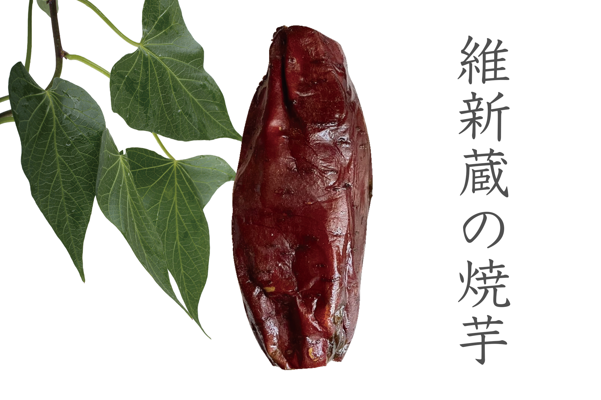 維新蔵の焼き芋とは？