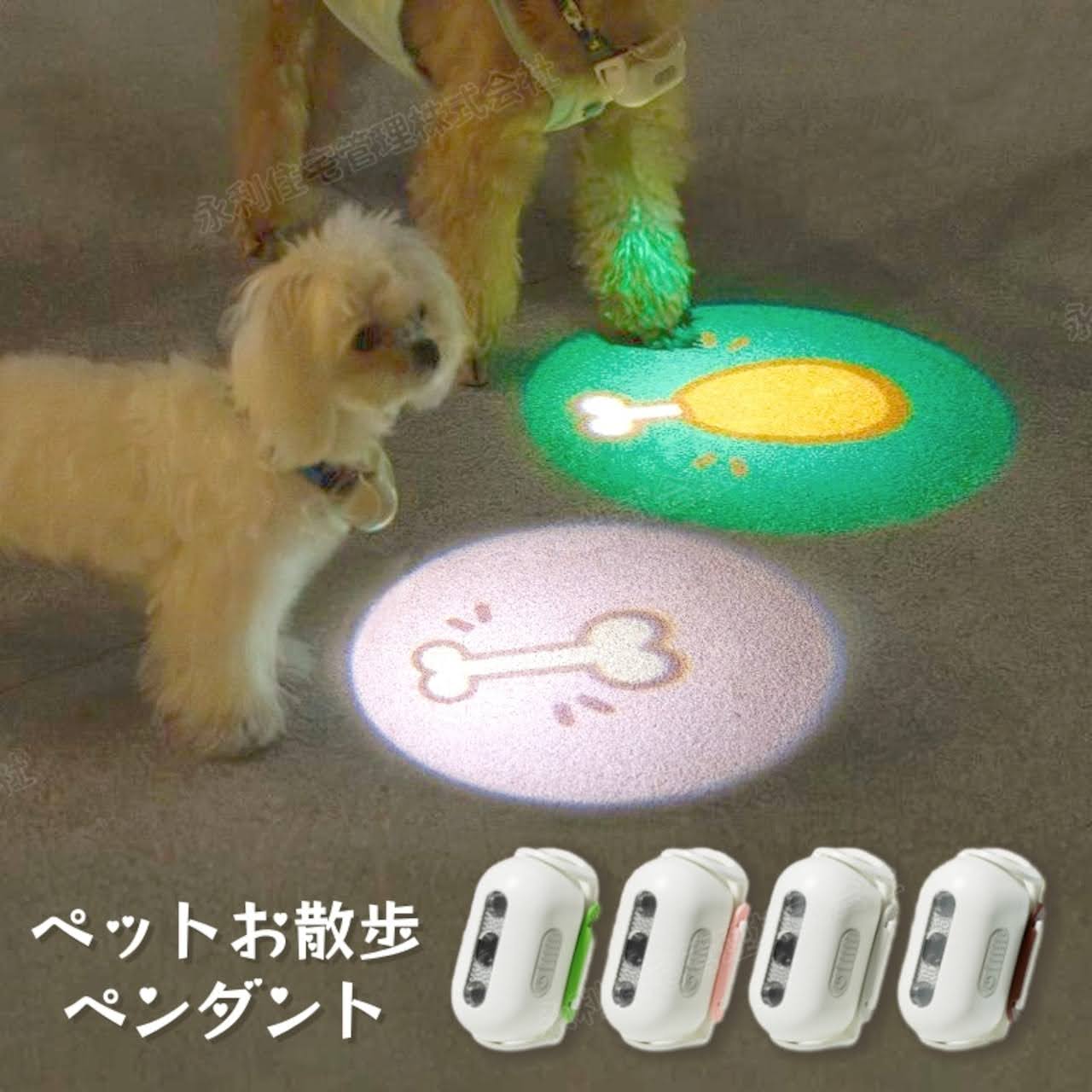 シニアペットとの遊び方