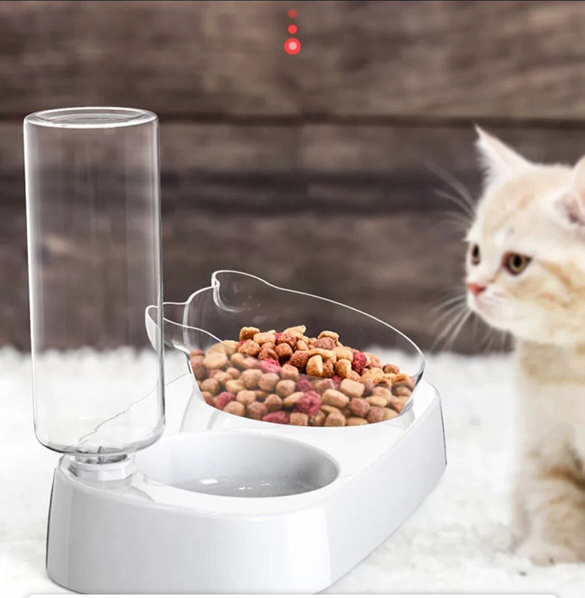 「食べることが楽しい」を大切に──グラン・デリ キャットとは？