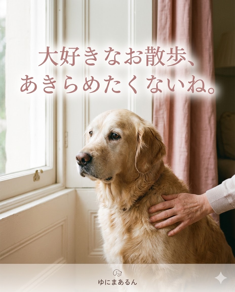 「大好きなお散歩、あきらめたくないね。」