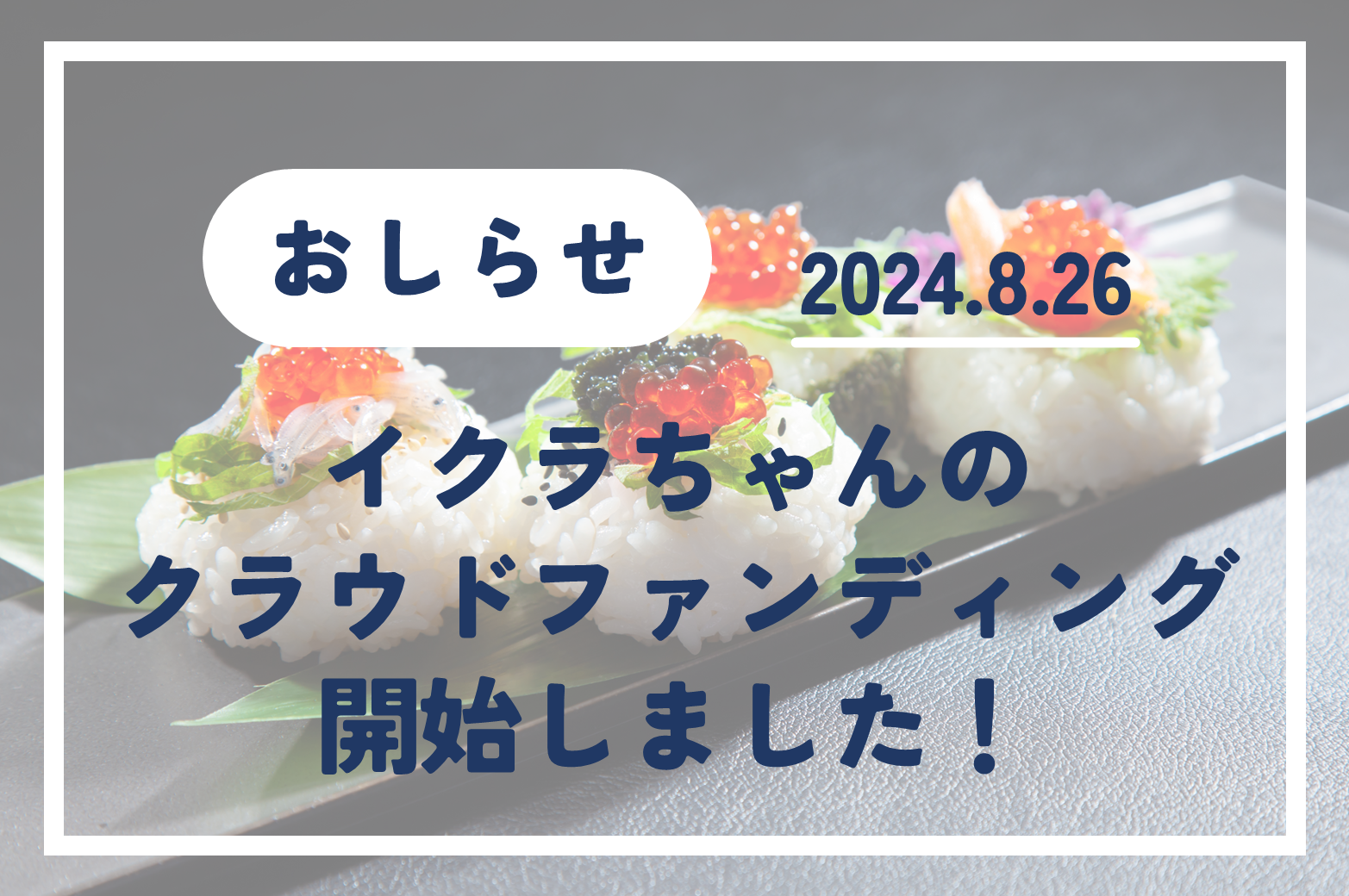 - 2024.8.26　”植物生まれのイクラちゃん”クラウドファンディングを開始しました！