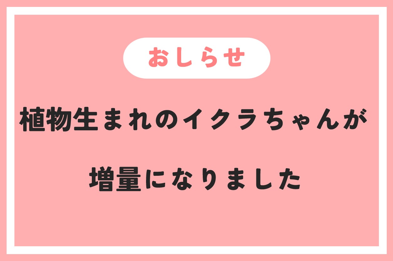 植物生まれのイクラちゃん　増量・価格改定のお知らせ
