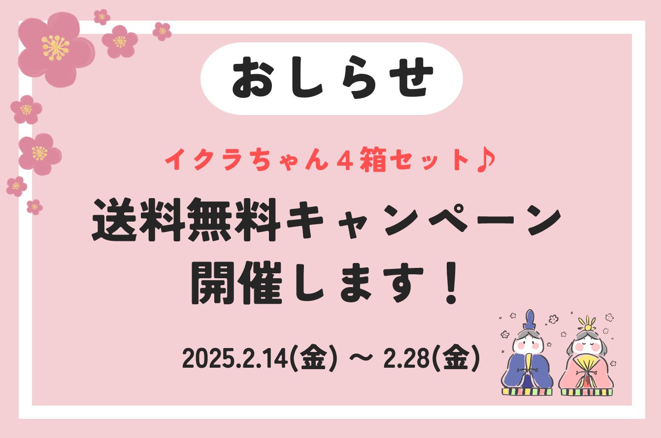 2025年2月14日（金）より、イクラちゃん4個セット送料無料キャンペーンを開催します！