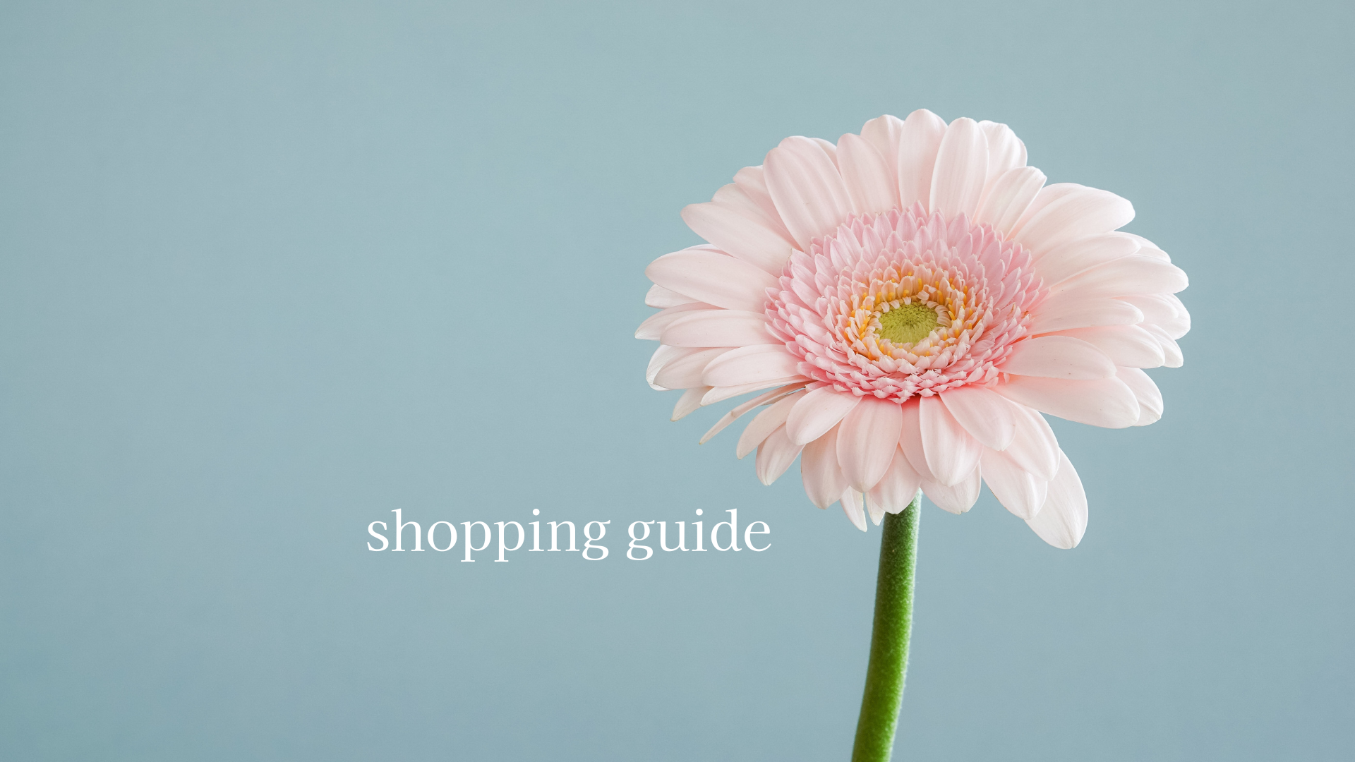 【shopping guide】※ご購入前に必ずご確認ください。