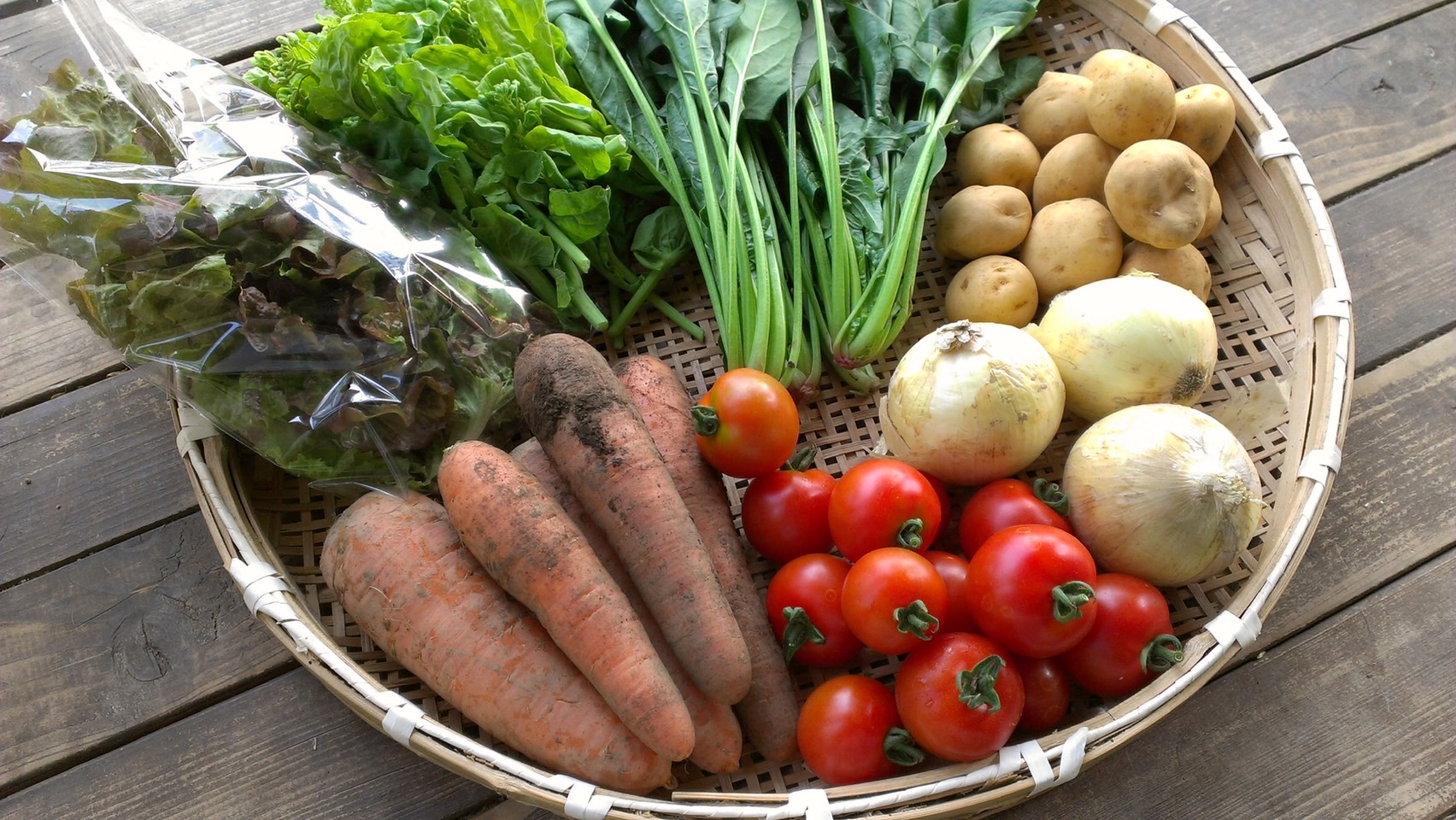 多品目栽培で実感した「作物の体質変化」