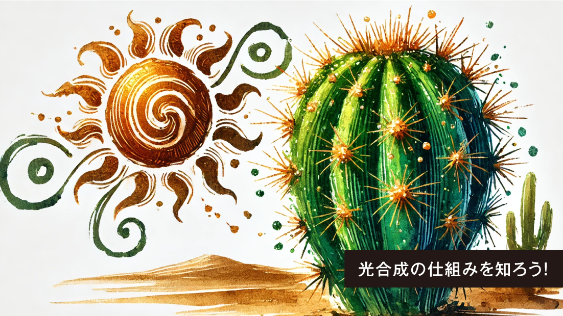 初心者向け！植物の「光合成」ってどんな仕組み？