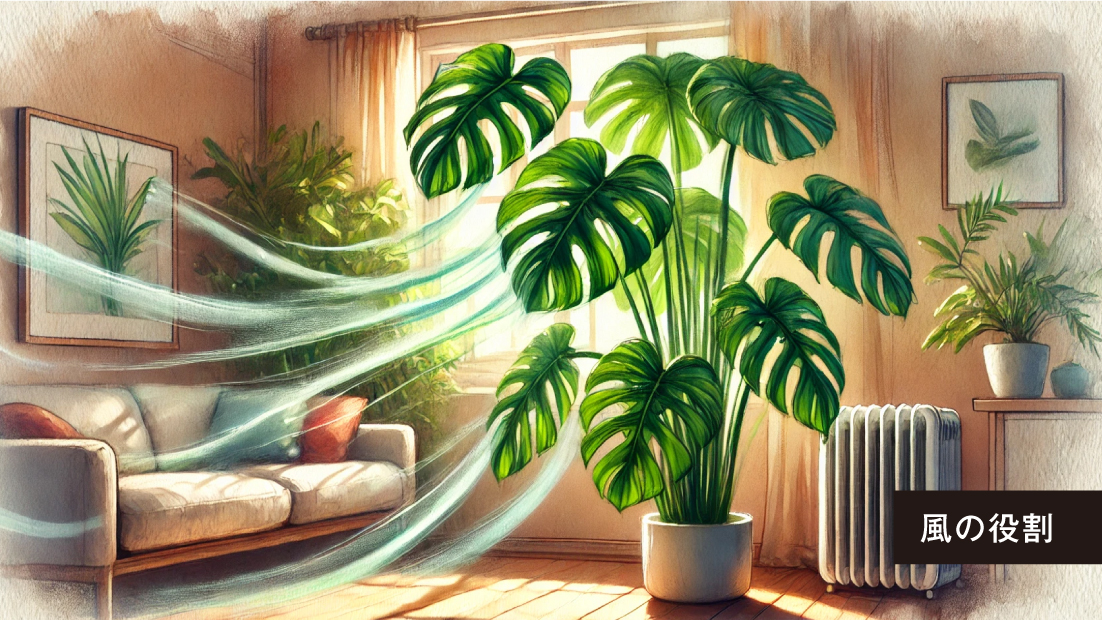 植物の成長に大切な「空気の循環」って何？メリットとエアプランツの工夫を解説！