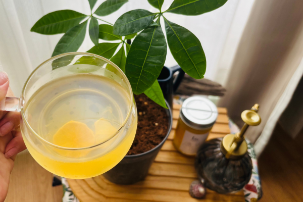 ＼ 朝のぼんやり・夕方の疲れに。1杯でやさしく元気になる方法 ／