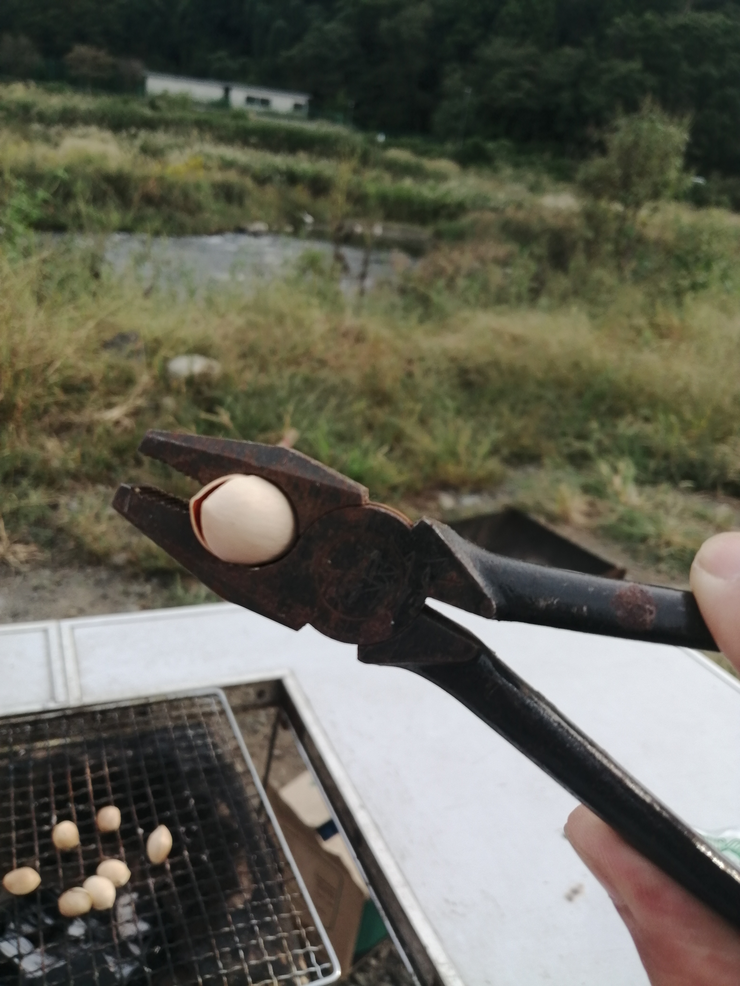 【シンデレラフィット】