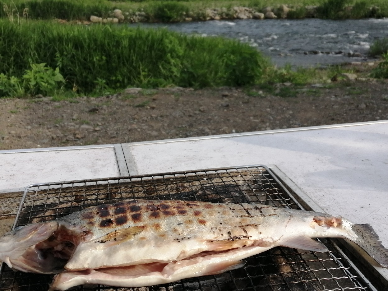 【釣りたて】