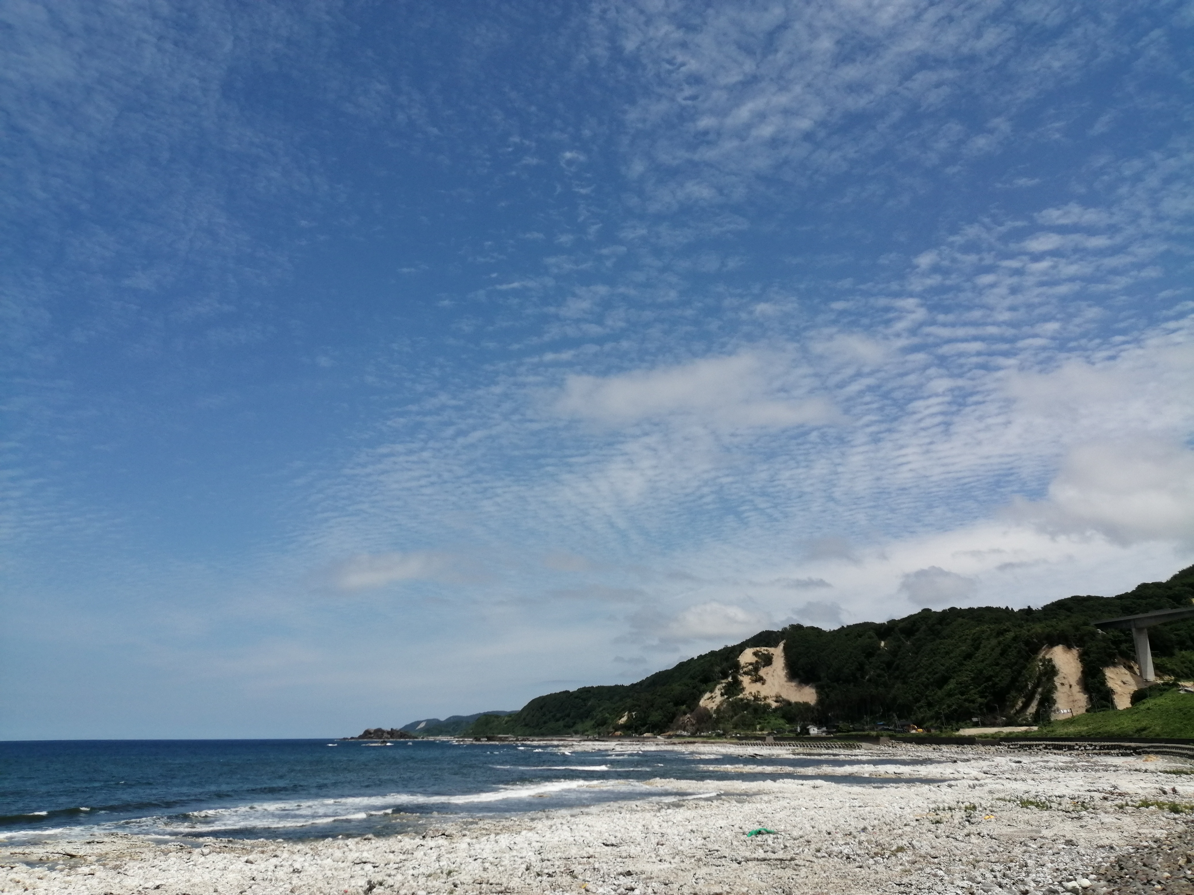 ほぼ珪藻土