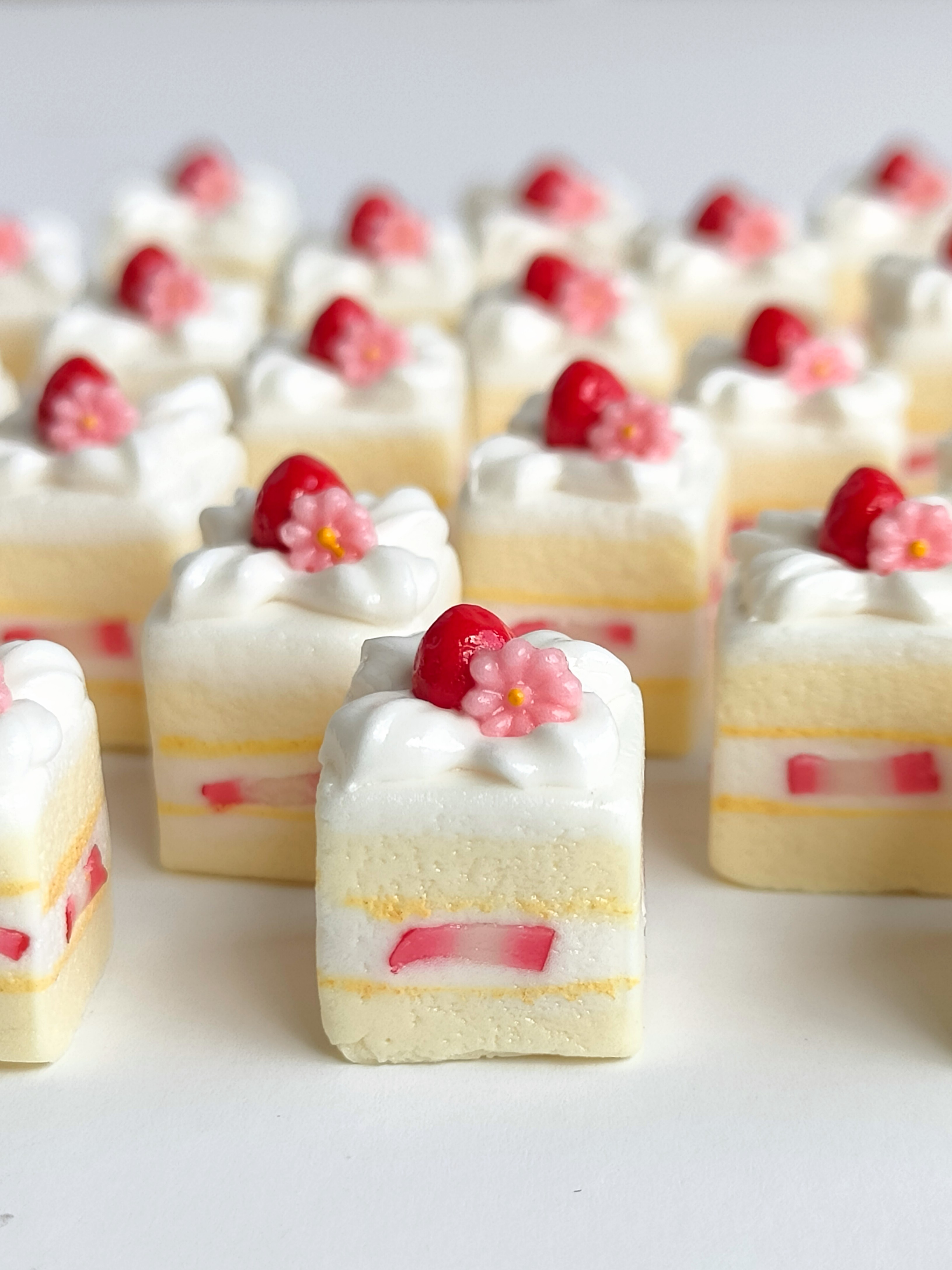 購入前に、お読み下さい