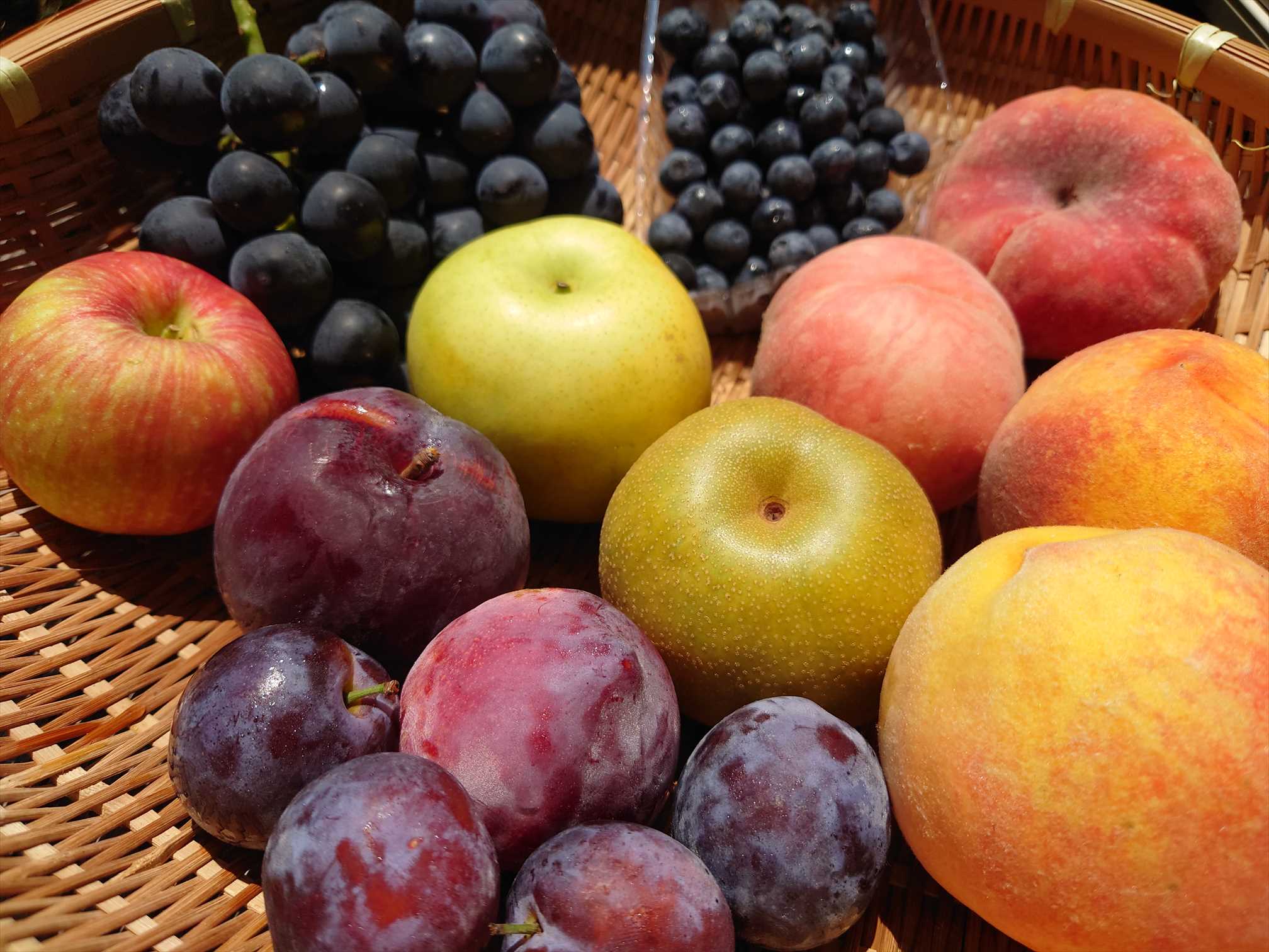 藤沢産の多品種のフルーツたち