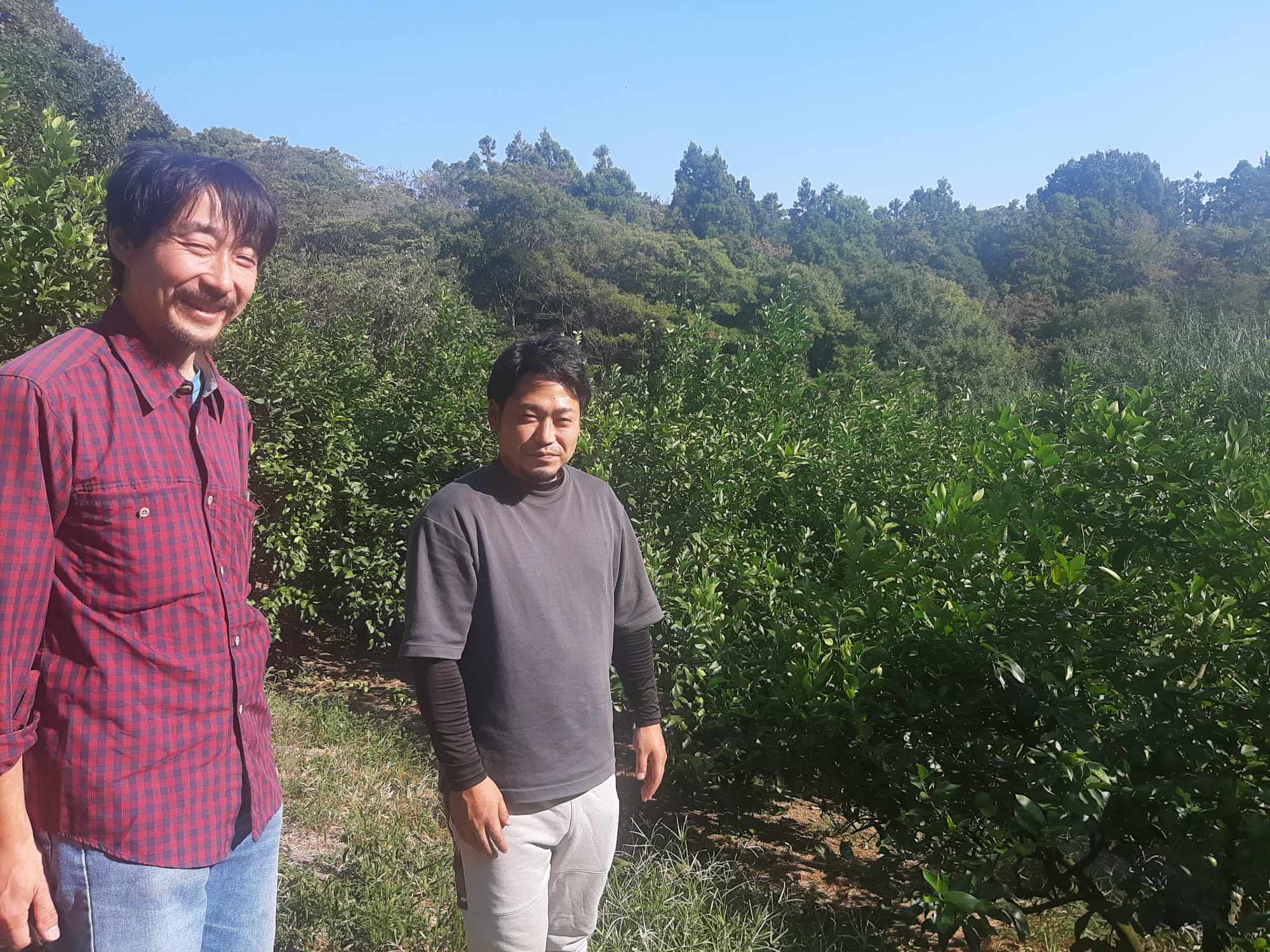 本気で国産レモンを作る! 視察その二 しまなみ楽農研究所